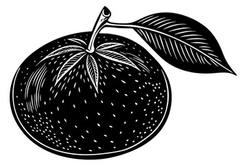 vector illustration of an tangerine fruit
