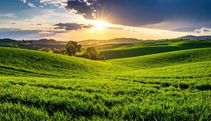Naklejka premium Scenic Green Field Rolling Hills Under Golden Sunlight and Dramatic Sky at Sunset Panorama with Trees in the Background Landscape Photography