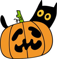 The Jack o lantern for Halloween or Holiday concept