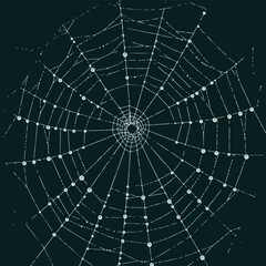 Cobweb with dewdrops on dark background, digitally drawn with slightly uneven, sketchy lines