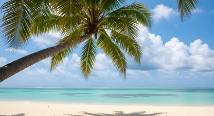 Tropical beach palm tree view