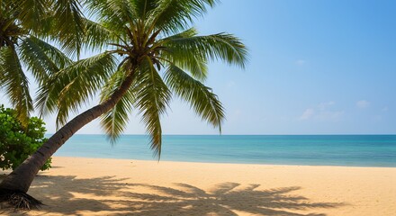 Obraz premium Tropical beach scene