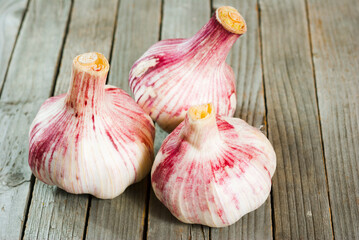 Garlic bulbs