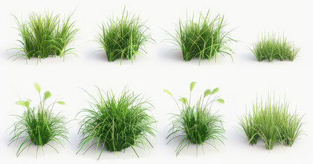 A collection of various grass clumps showcasing different shapes and sizes for design use.