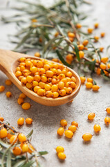Wooden spoon overflowing with fresh sea buckthorn berries and leaves