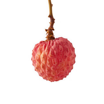  A photograph of a vibrant lychee fruit sus pended mid-air against a transparent background. The lychee_s translucent, pinki