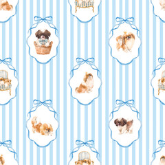 Seamless Striped Puppy Pattern , Cute Shih Tzu Dogs with Frames and Ribbons design