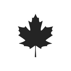 Fototapeta premium Black silhouette of a maple leaf on a white background Keywords: maple leaf, silhouette, black