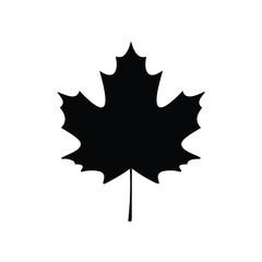 Black Silhouette of a Maple Leaf on a White Background