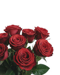 Obraz premium bouquet of red roses