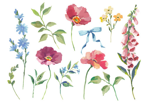 Vector watercolor wildflower clipart set with poppies, chicory, foxglove, forget-me-not, floral elements for design