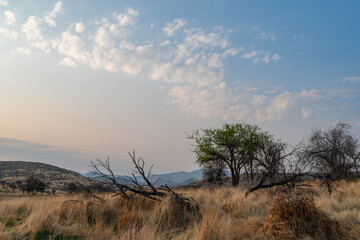 Lever du jour sur la savane 