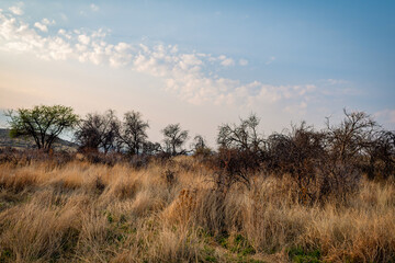 Lever du jour sur la savane en Namibie