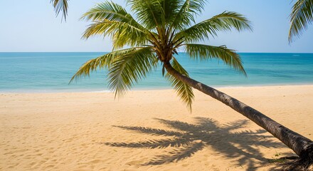 Obraz premium Palm tree beach scene