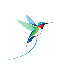 Obraz premium Illustration of a hummingbird in flight isolated on white background, vector format design