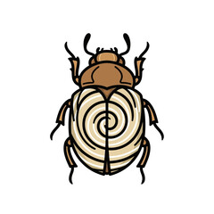 Stylized beetle isolated on white background, vector illustration of insect