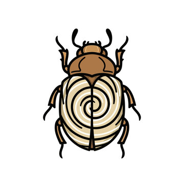Stylized beetle isolated on white background, vector illustration of insect