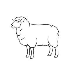 Illustration of a sheep isolated on white background, showcasing its woolly coat and gentle nature