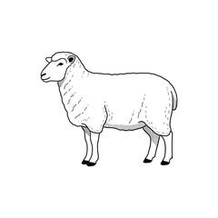 Sheep illustration isolated on white background farm animal illustration design in black and white