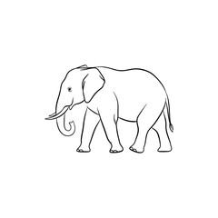 Elephant illustration isolated on white background, a simple yet elegant depiction of the animal