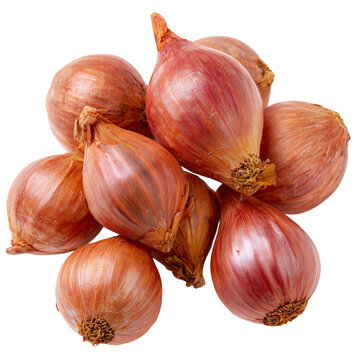 small Thai shallots with skins on transparent png background