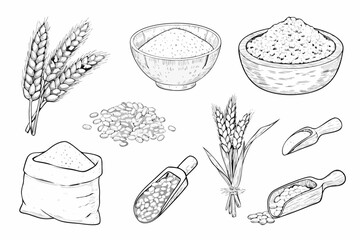 Collection of hand drawn wheat grains flour and cereals