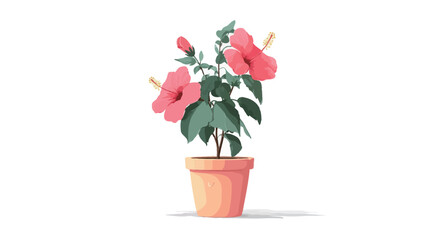A digital illustration of a pink hibiscus plant in a terracotta pot. The illustration is in a vector or similar style, featuring a simplified, slightly painterly rendering of the plant.