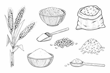 Hand drawn illustration of wheat grains flour and other cereal products