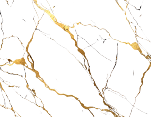 Seamless Black Marble Texture with Gold Streaks