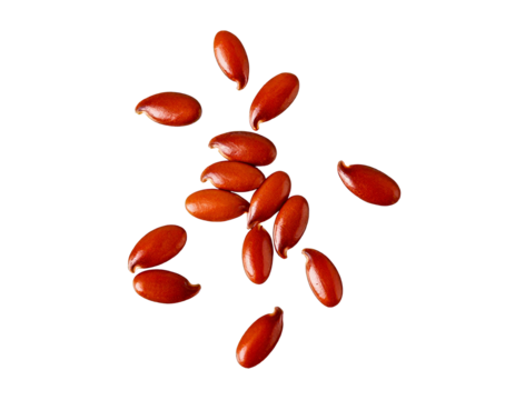 flax seeds isolated on transparent png