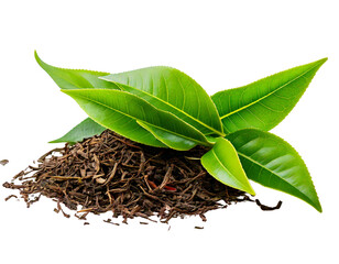 fresh green tea leaf and dry isolated on transparent png 