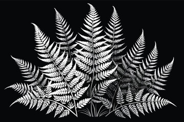 Beautiful ferns create a striking black and white display in a natural environment