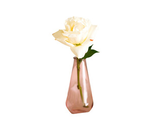 Elegant Modern Glass Vase on White Background for Home Decor  
