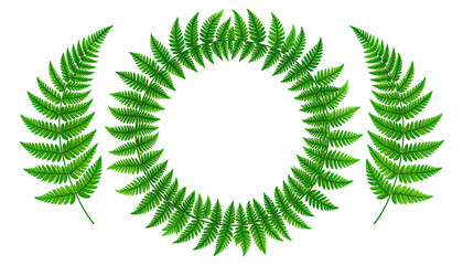 Fern leaf wreath