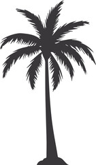 silhouette of palm tree