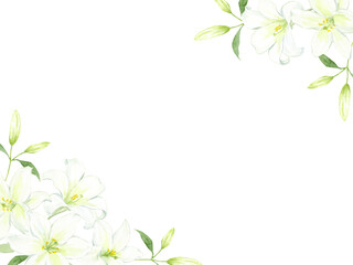 水彩で描いた白いユリのフレーム