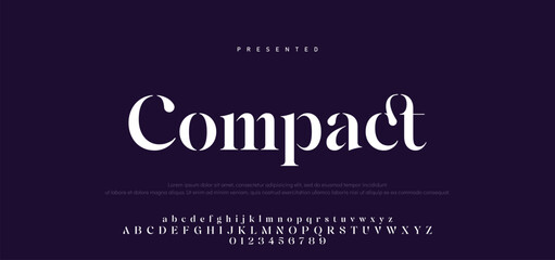 Premium luxury elegant alphabet letters and numbers. Vintage wedding typography classic serif font decorative vintage retro. creative vector illustration © Mark