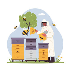 Beekeeper in protective gear inspects honeycombs near beehives with flying bees around