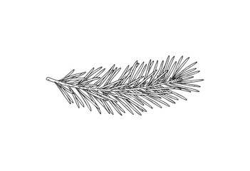 Detailed black and white illustration of evergreen pine tree branch - stock vector