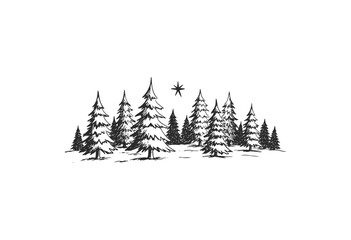 Black and white winter pine forest with snow and starry sky - stock vector