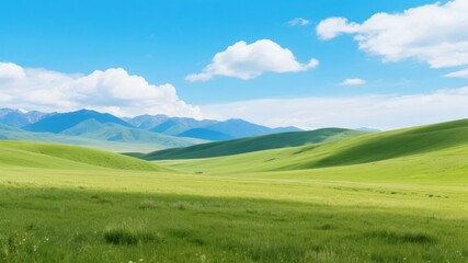 Obraz premium Vast green rolling hills under a clear blue sky with distant mountains