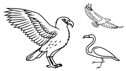 set of vector birds
