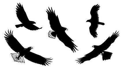 American Wilderness Animal Silhouette Set – Bison, Eagle, Bear, Wolf, and Mountain Goat Black Vector Icons for Outdoor Adventure, Logos, Stickers, and T-Shirt Designs
