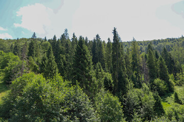 Fototapeta premium The bright sun illuminates the tops of the dense forests covering the mountain slopes. This picturesque place gives a sense of peace and complete harmony with nature.
