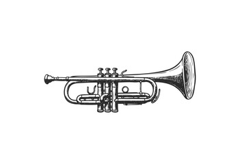 Obraz premium Detailed illustration of a classic trumpet in black and white - stock vector