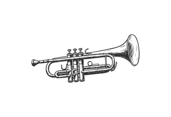 Obraz premium Illustration of a classic trumpet with detailed valves and mouthpiece - stock vector