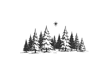 Snowy forest with evergreen trees and star in night sky - stock vector