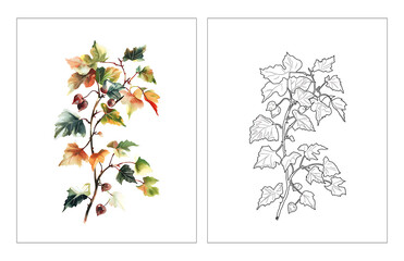 Autumn Leaves Branch – Botanical Copy Coloring Illustration