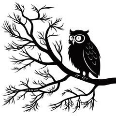 owl vector illustration