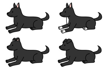 犬・保護犬・雑種犬／黒い犬